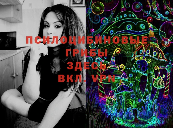 крисы Алзамай
