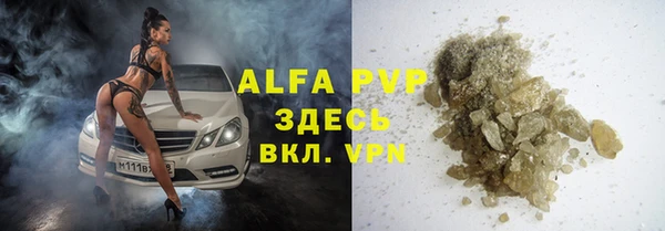 крисы Алзамай