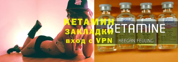 крисы Алзамай