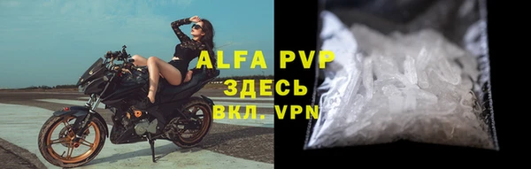 крисы Алзамай