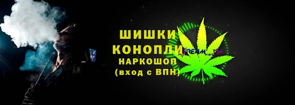 ГАЛЛЮЦИНОГЕННЫЕ ГРИБЫ Алексин