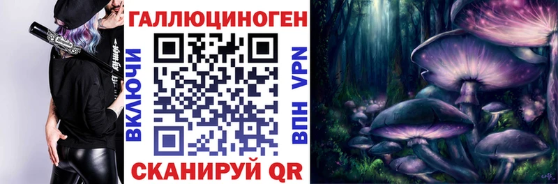 ссылка на мегу сайт  Владикавказ  Псилоцибиновые грибы Cubensis  где купить наркоту 
