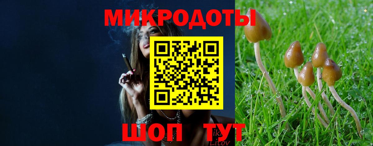 Владикавказ  Галлюциногенные грибы MAGIC MUSHROOMS  Вход с VPN 
