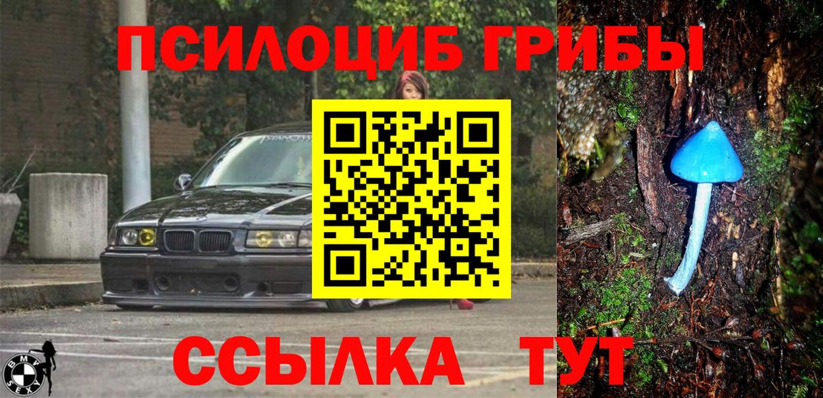 Псилоцибиновые грибы MAGIC MUSHROOMS Владикавказ